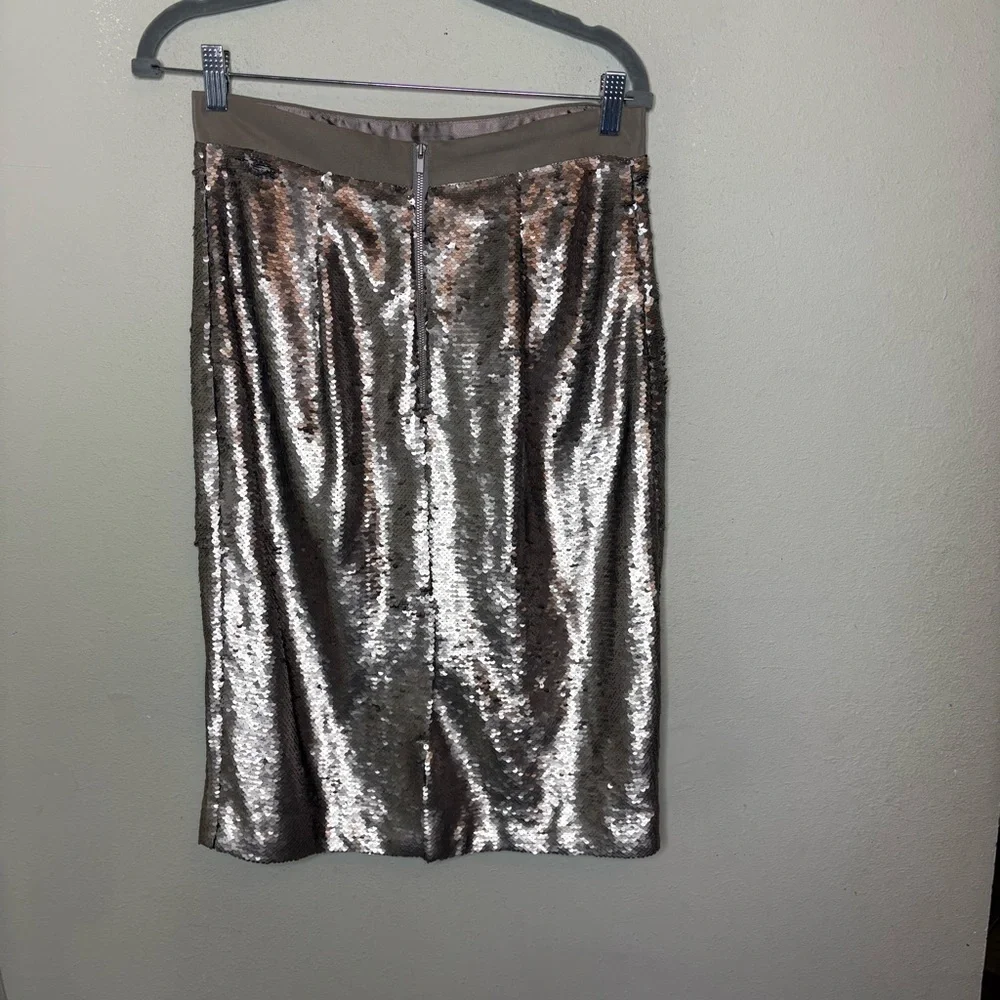 Banana Republic Matt Silver Sequin Pencil Midi Skirt Size 6